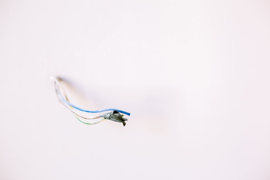 10 : img_8 - Intricate ceiling wiring and technical infrastructure